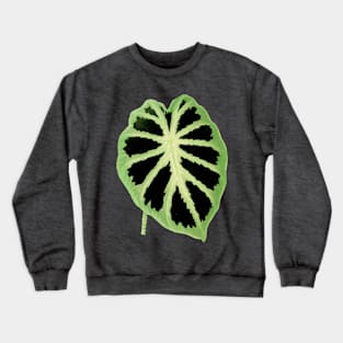 Colocasia affinis ‘Jenningsii’ - Rothschild - Botanical Illustration Crewneck Sweatshirt